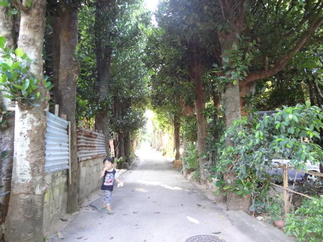 Bise House Pension Motobu Buitenkant foto